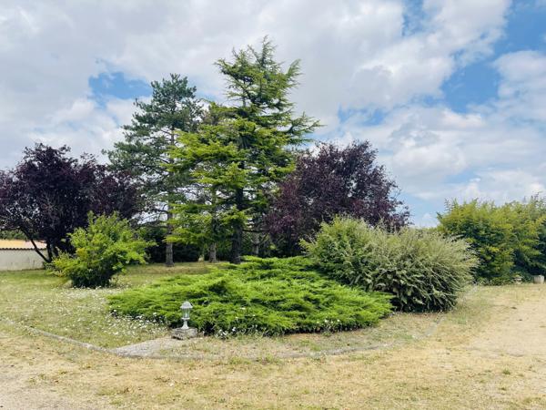 Cissé (86170) MAISON DE CHARME