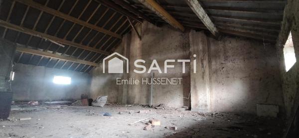 Fort potentiel à exploiter sur une vaste parcelle