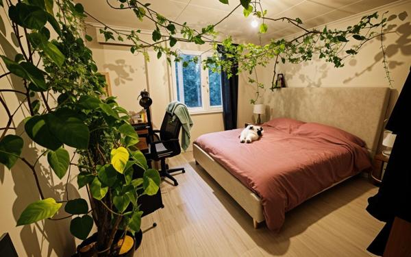 Maison à vendre    8 pièces • 229 m2 Villeurbanne