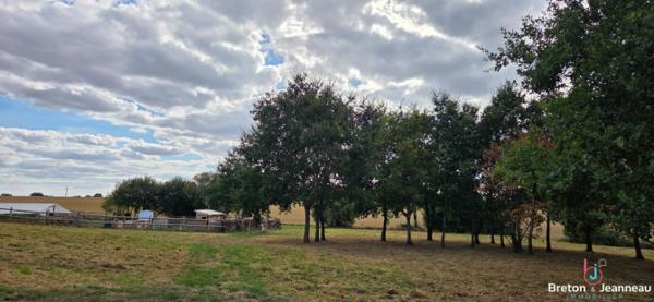 EN EXCLUSIVITE Longère rénovée sur 1ha66 à Soulgé sur Ouette