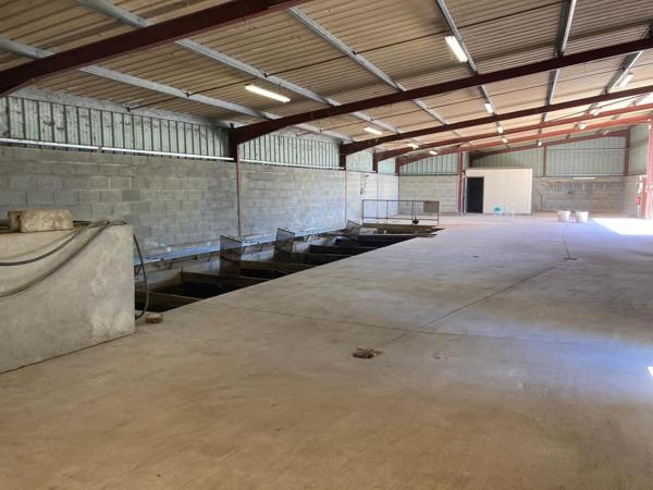 Hangar commercial très bon état et fonctionnel