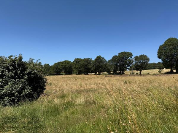 Bien agencée - Idéal investissement, gîte, premier achat