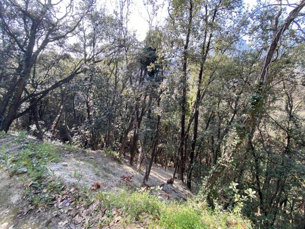 Terrain à MENTON (06500)