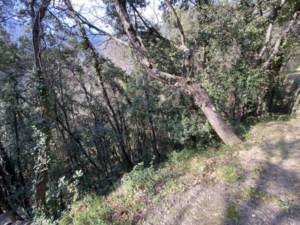 Terrain à MENTON (06500)
