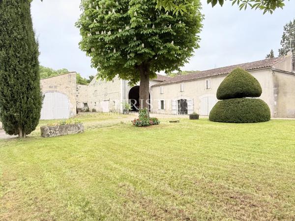 Ancienne distillerie de Cognac au cœur d’un beau village au milieu des vignes.