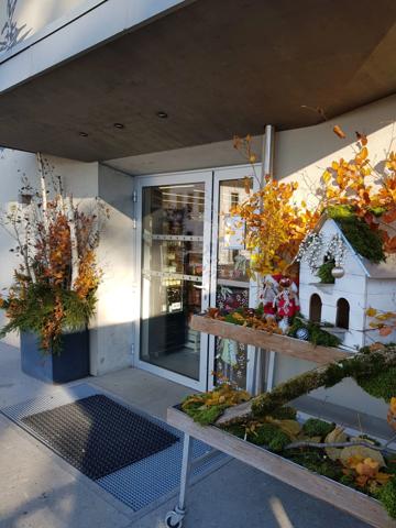 Fonds de commerce à vendre BOGEVE (74) Epicerie fine et Bio