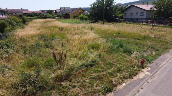 Vente / Terrain constructible