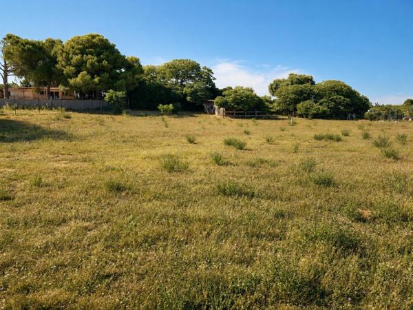 Rare à Mireval : 5 438 m² et dépendances
