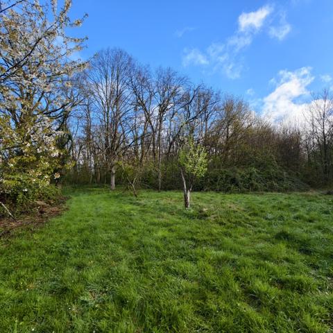 Maison
         3 pièces
        - 100 m² 119 900 € *