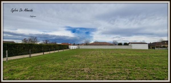 Terrain à vendre REPLONGES (01) 1575m² libre constructeur