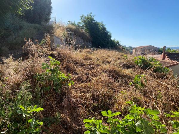 Terrain
        
        - 600 m² Exclusivité 199 000 € *