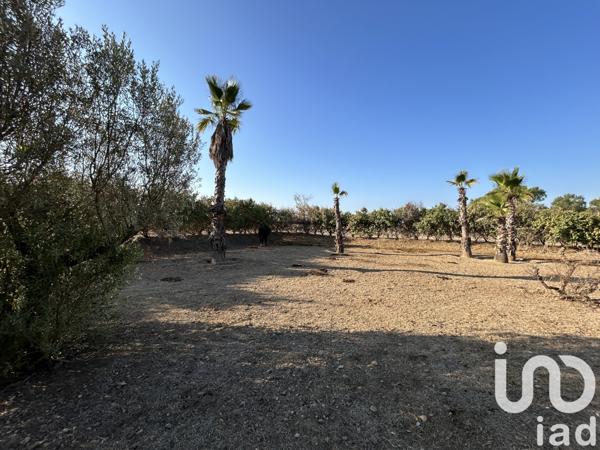 Maison à vendre 4 pièces 100 m² Pignan