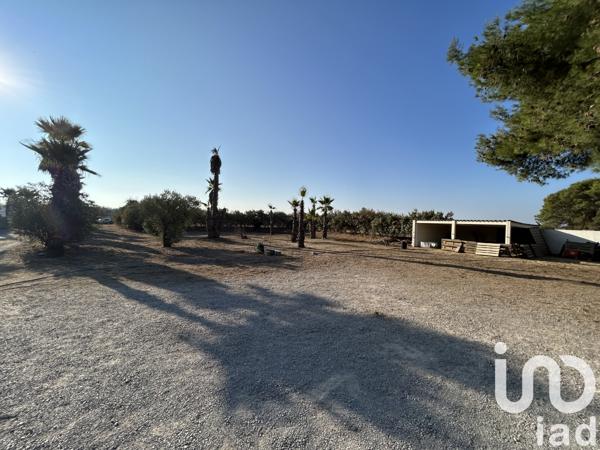 Maison à vendre 4 pièces 100 m² Pignan