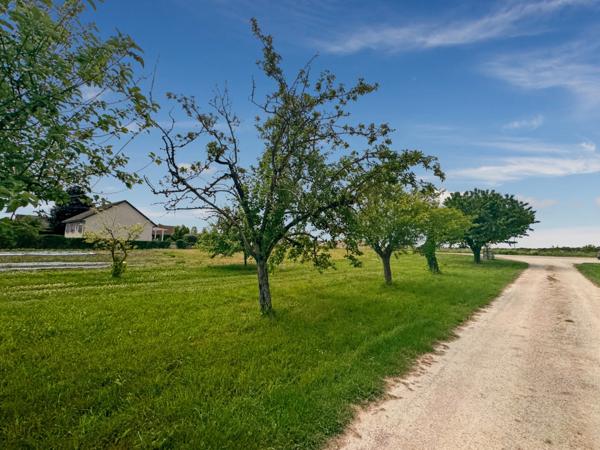 Terrain à vendre MAGNY SUR TILLE (21)
