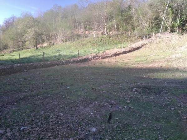 Vente / Terrain