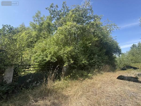 Achat - Terrain de loisirs, bois, étangs Muizon 51140 630 m 2