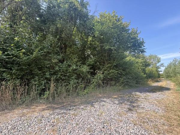 Achat - Terrain de loisirs, bois, étangs Muizon 51140 630 m 2