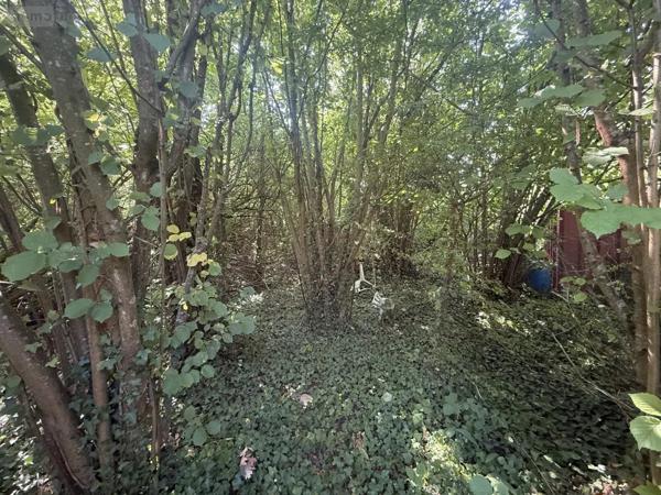 Achat - Terrain de loisirs, bois, étangs Muizon 51140 630 m 2