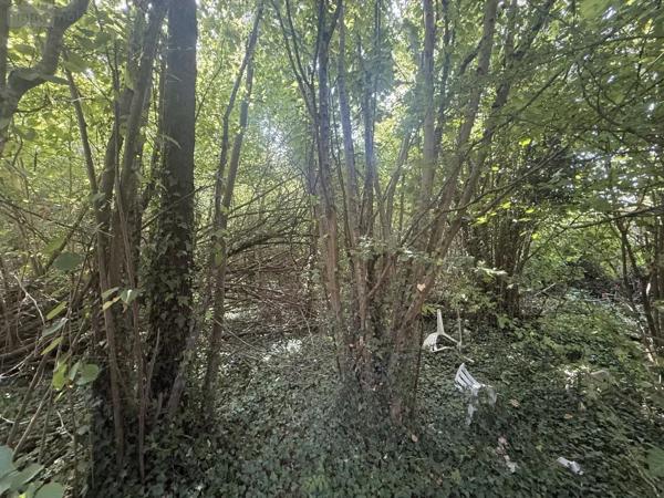 Achat - Terrain de loisirs, bois, étangs Muizon 51140 630 m 2