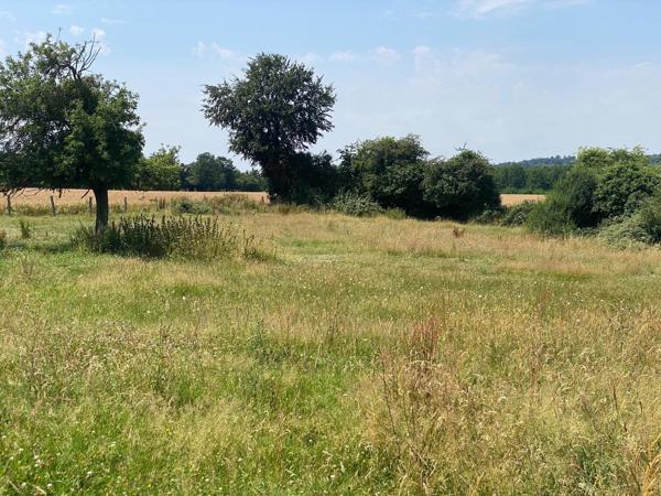 Terrain à bâtir de 3438 m², non viabilisé, La Bazoque