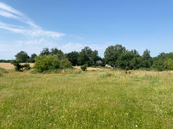 Terrain à bâtir de 3438 m², non viabilisé, La Bazoque