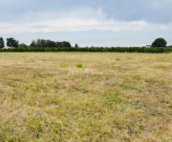 Terrain constructible