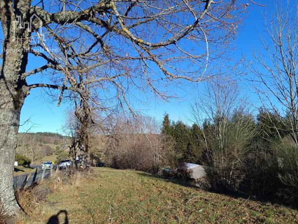 Vente Terrain 2300 m2 à Fau-de-Peyre