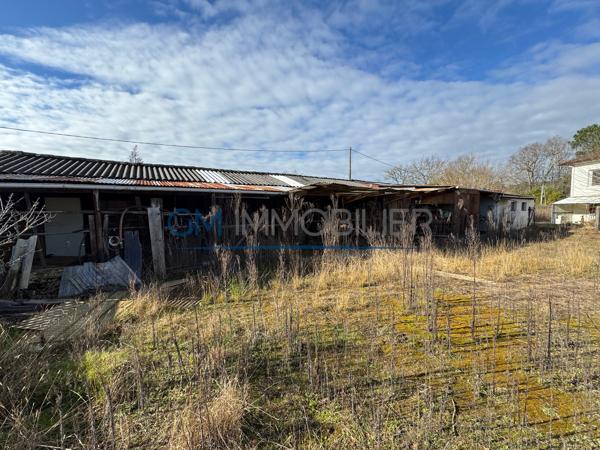 ST PAUL LES DAX - TERRAIN