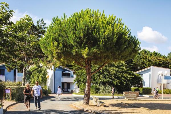 INVESTISSEMENT LOCATIF  Saint-Jean-de-Monts  Résidence Tourisme Belambra Les Grands Espaces  6,89 % de rentabilité