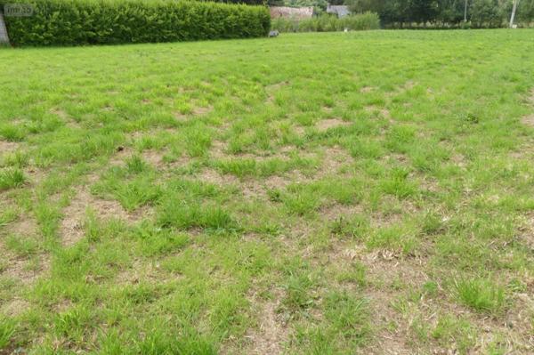 Terrain à Batir à vendre à Plonévez-Porzay dans le Finistère (29550), ref : 127/2462