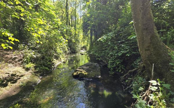 Maison à vendre    4 pièces •  Ris-Orangis