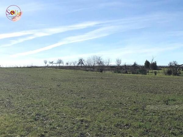 TERRAIN EN VENTE COGNAC OUEST ! Venez découvrir ...
