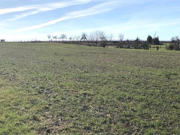 TERRAIN EN VENTE COGNAC OUEST ! Venez découvrir ...