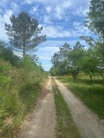 Terrain agricole de 3 ha au calme à Gujan-Mestras