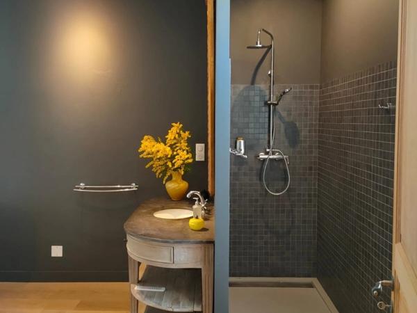 À VENDRE : Magnifique Maison de caractère au Cœur de Saignon, Luberon