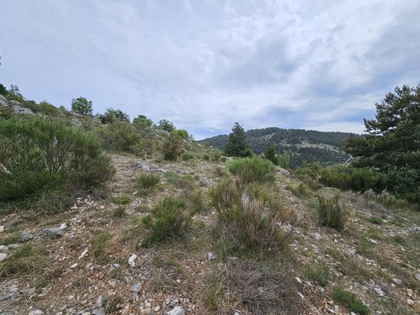 Vente / Terrain
