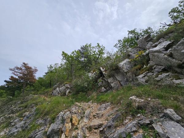 Vente / Terrain