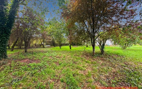 Terrain à vendre    Gaillac