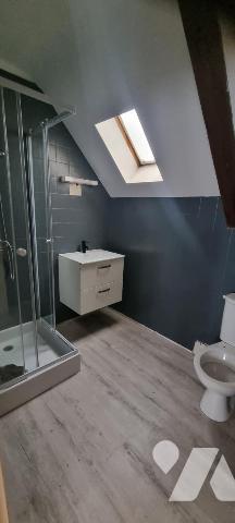 LA GUERCHE DE BGNE - Pavillon avec piscine-garages et terrain