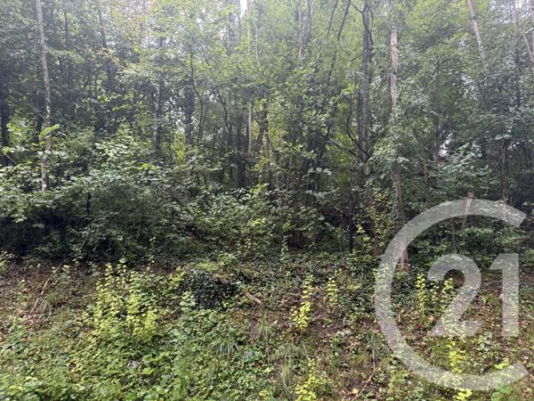 Terrain à vendre  2400 m2 LA TOUR - 74