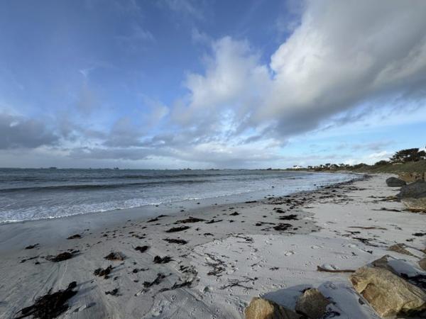 Hôtel, restaurant Saint-Pol-de-Léon 204 m²