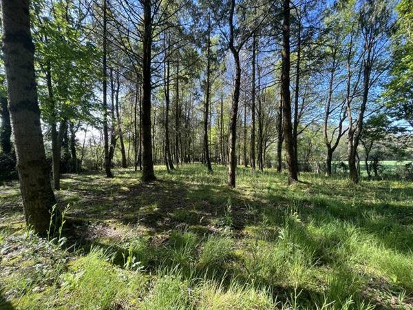 Terrain à vendre |  La Boissière-des-Landes |  7220 m²