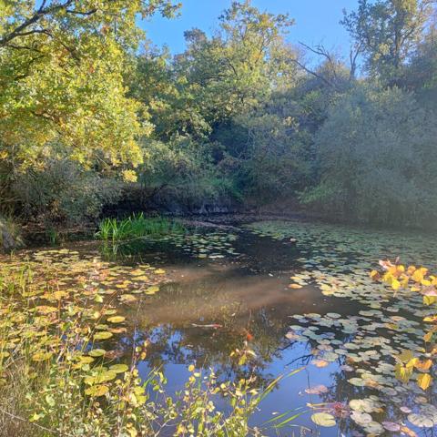 Maison Murs Erigne 7 pièce(s)