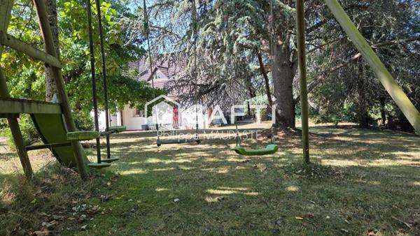 ideal pour amoureux chevaux ou pecheurs