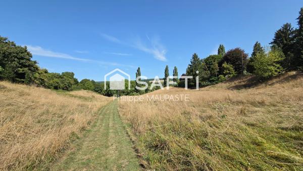 ideal pour amoureux chevaux ou pecheurs