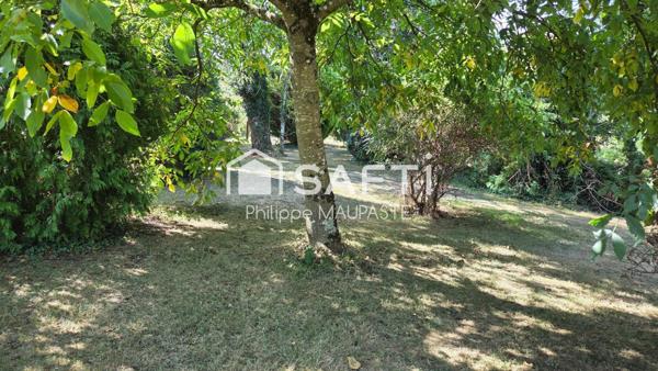 ideal pour amoureux chevaux ou pecheurs