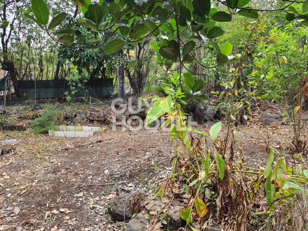 Maison à Piton Saint Leu