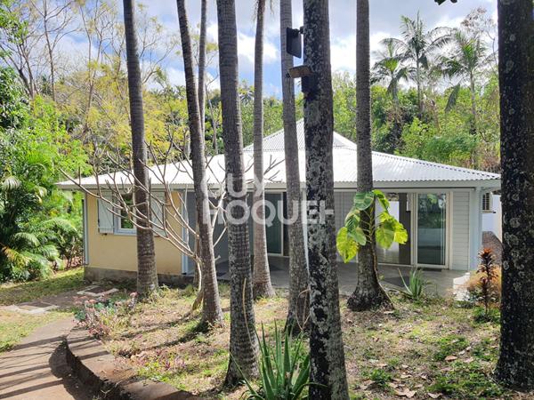 Maison à Piton Saint Leu