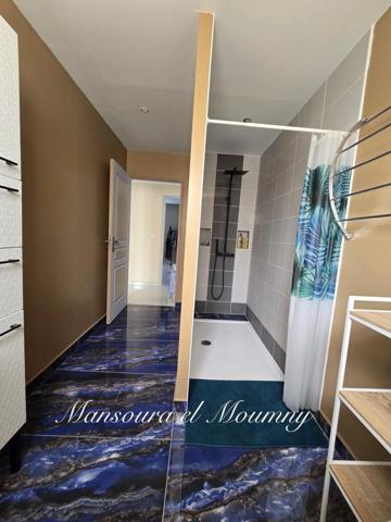 Maison à vendre 8 pièces JOUE LES TOURS (37)