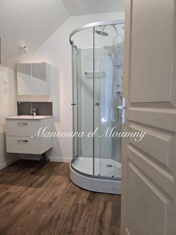 Maison à vendre 8 pièces JOUE LES TOURS (37)